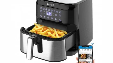 Proscenic T21 air fryer
